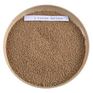 L-Lysine Sulfate Feed Grade 70%